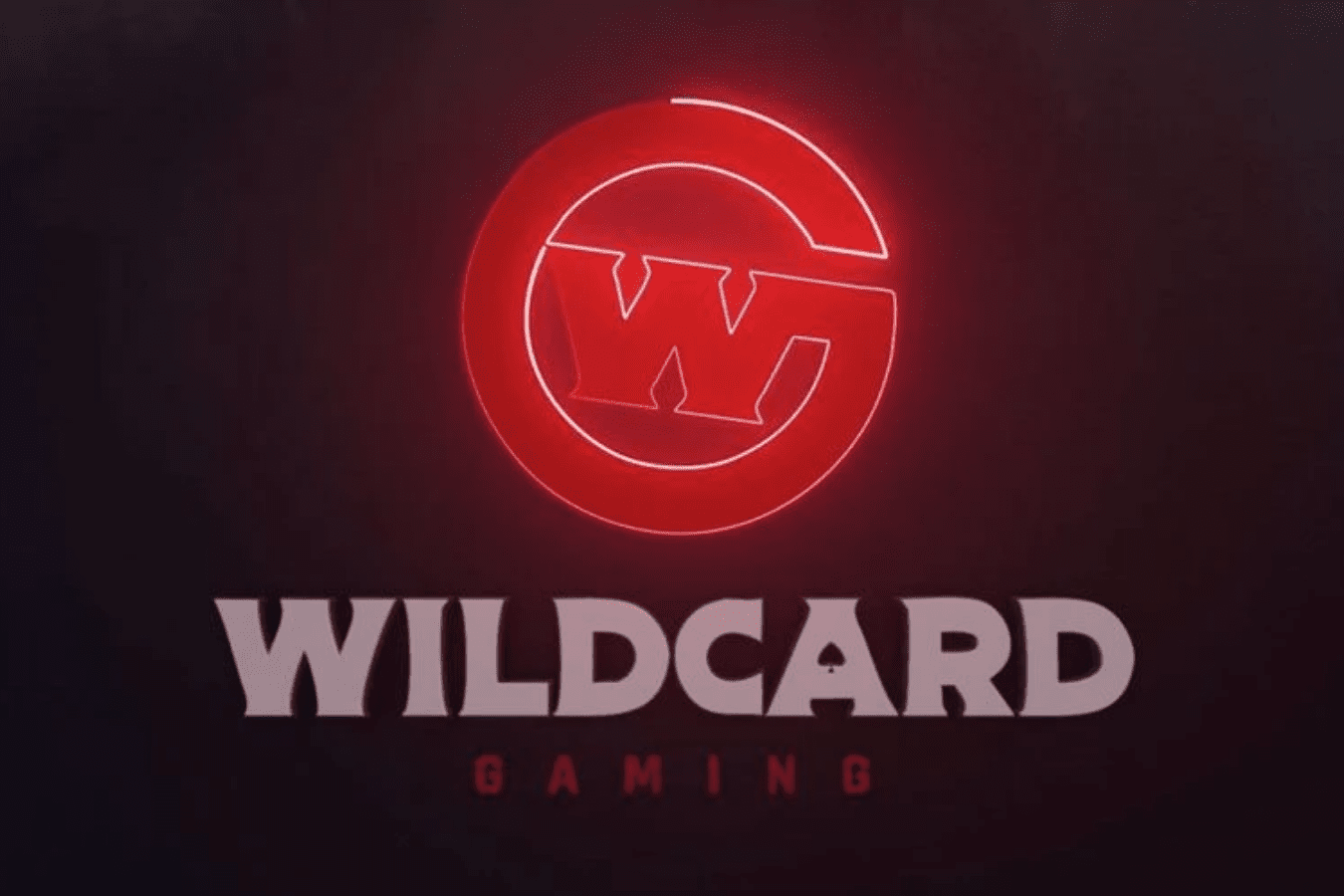 This enables. Вилдкард. Wildcard Team. Yves Wildcard Gaming. Wildcard Team 2.